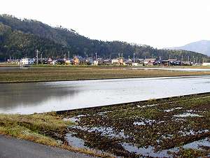 20100428tenjyo (11).jpg